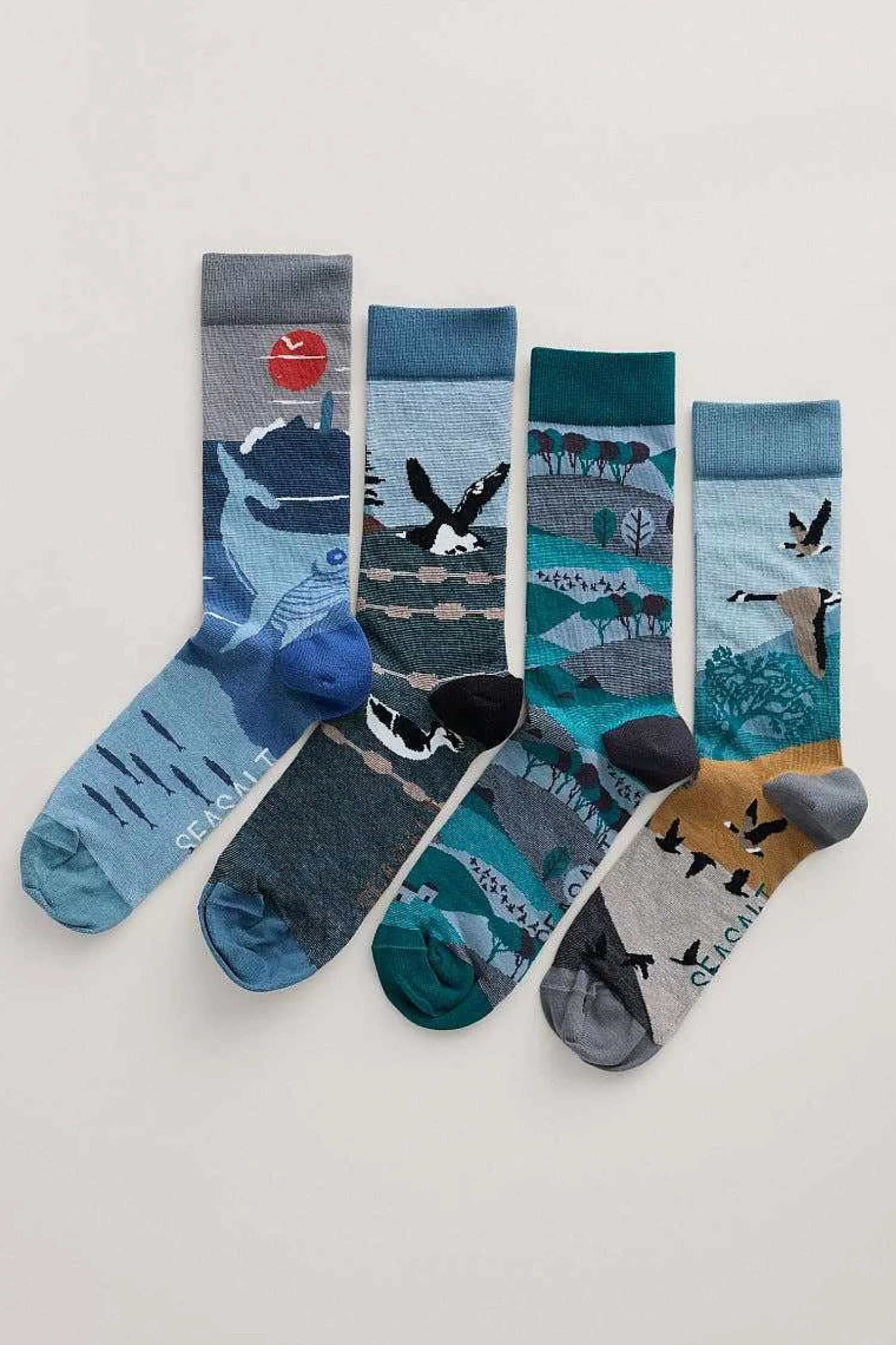 Men Seasalt Cornwall Box Of 4 Men'S Postcard Socks
