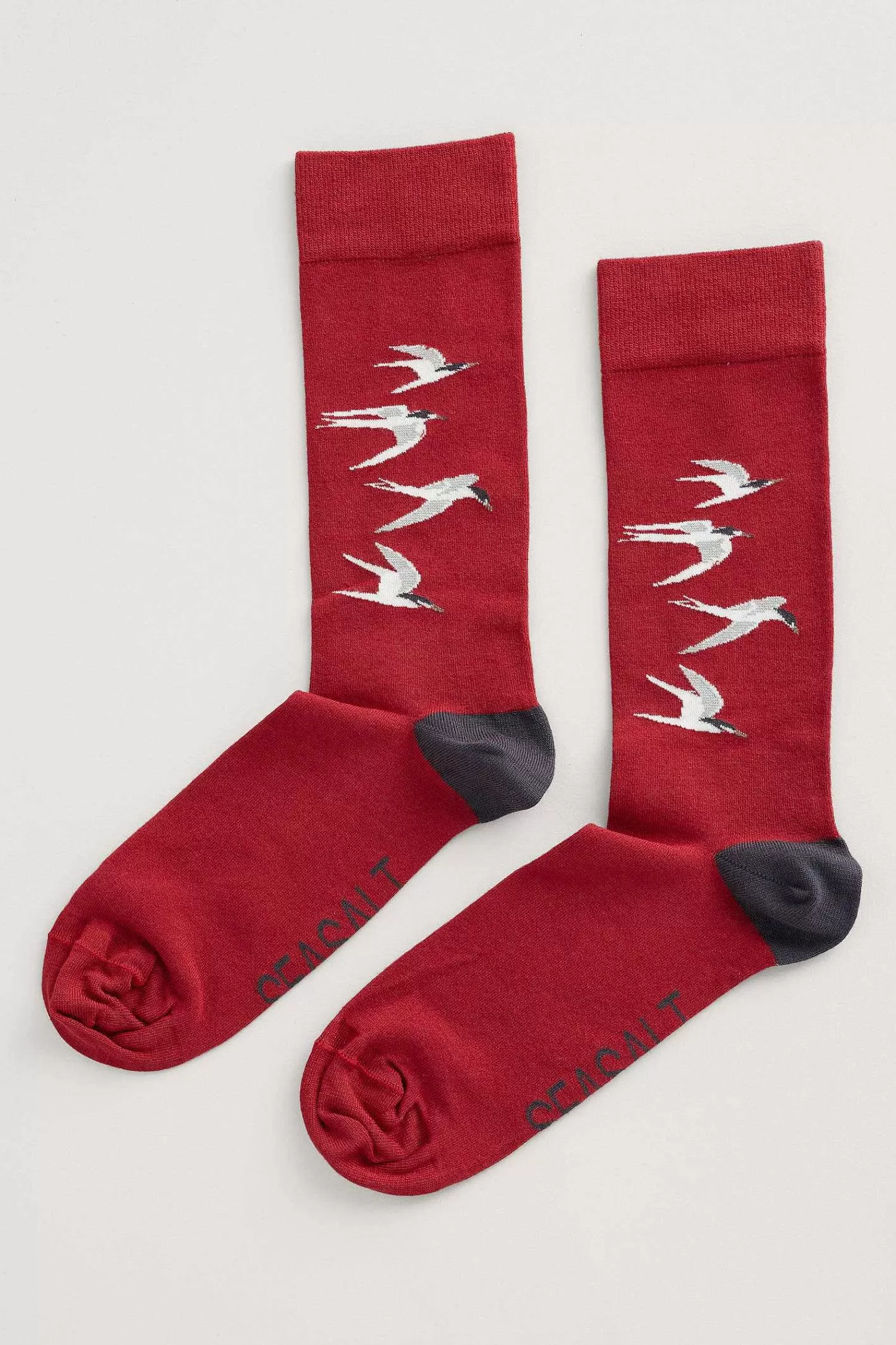 Men Seasalt Cornwall Men'S Arty Organic Cotton Socks