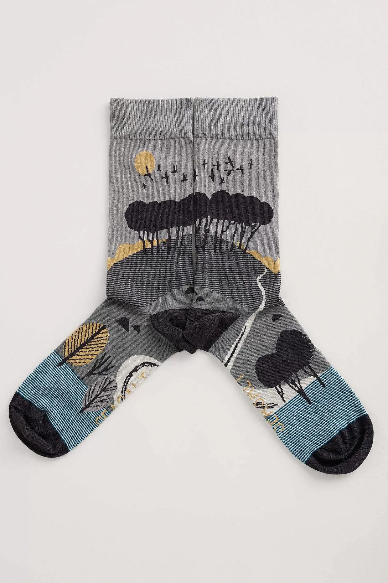 Men Seasalt Cornwall Men'S Postcard Socks
