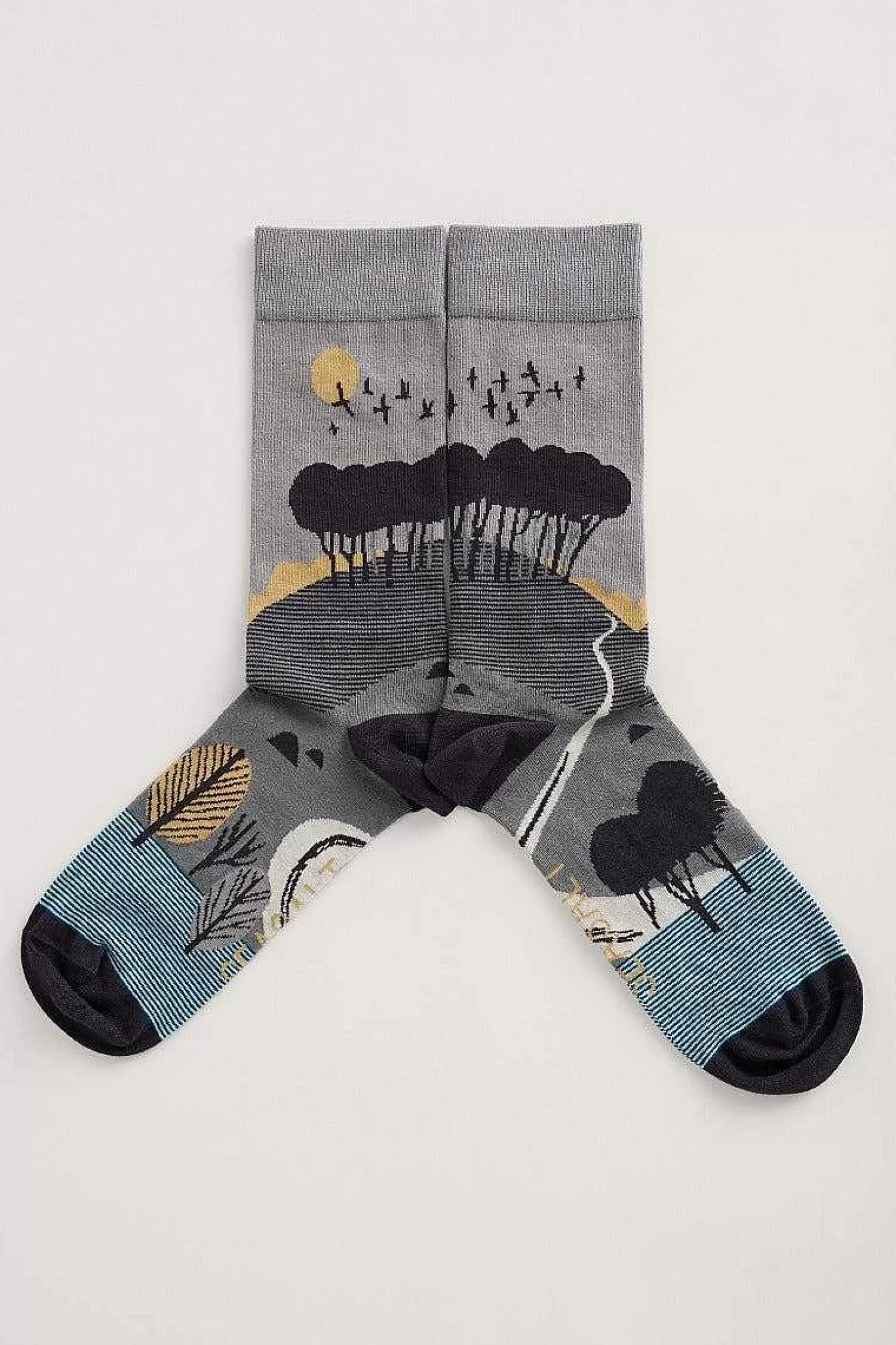 Men Seasalt Cornwall Men'S Postcard Socks