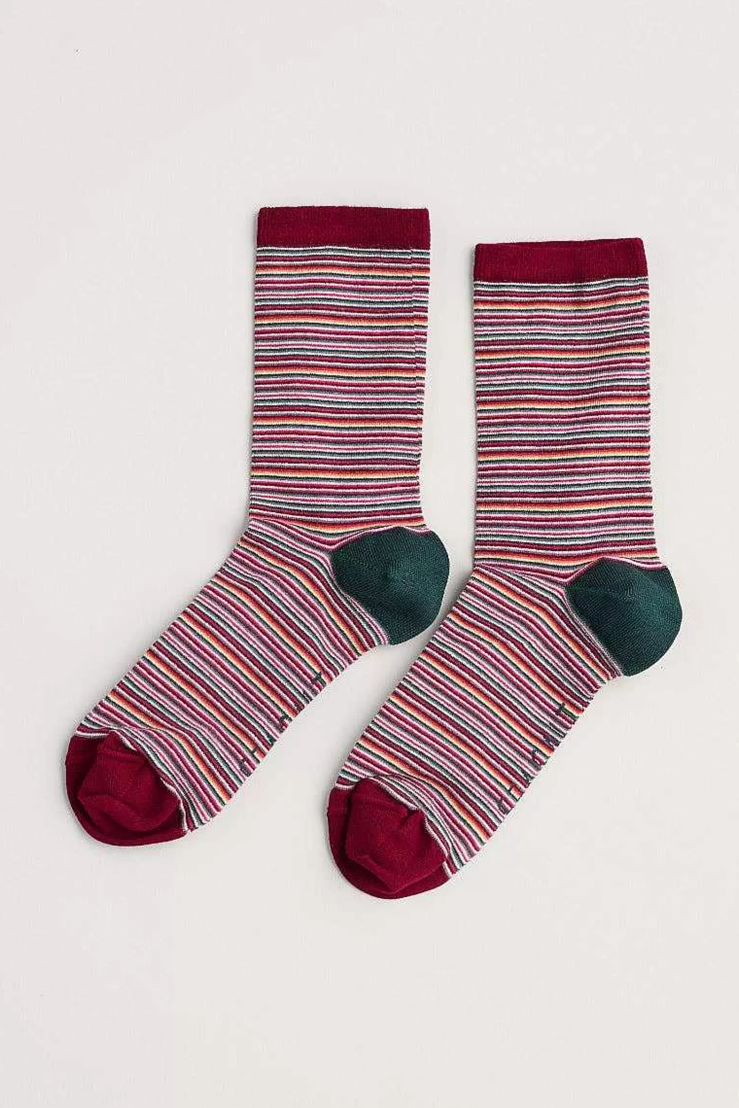Women Seasalt Cornwall Women'S Everyday Socks