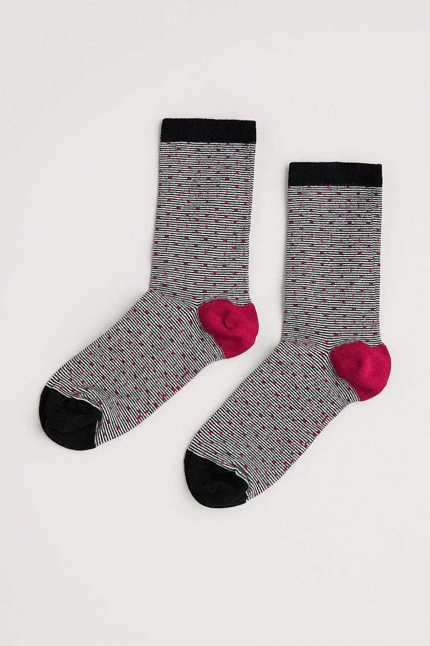 Women Seasalt Cornwall Women'S Everyday Socks