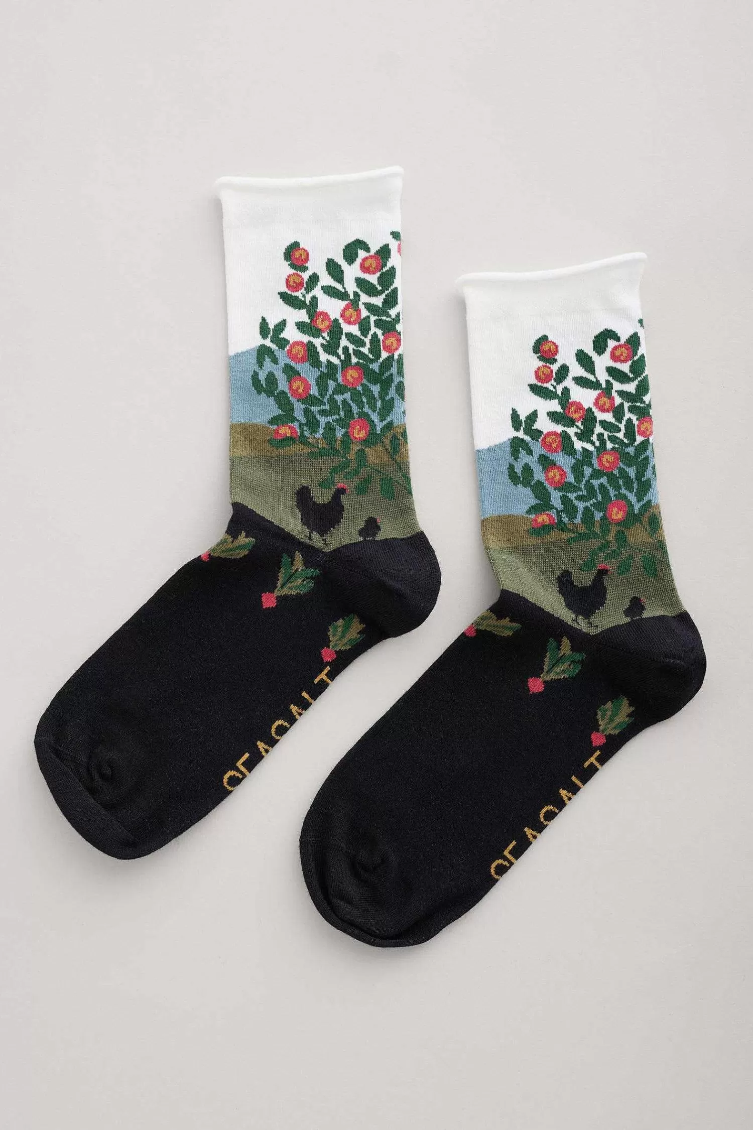 Women Seasalt Cornwall Women'S Postcard Organic Cotton Socks